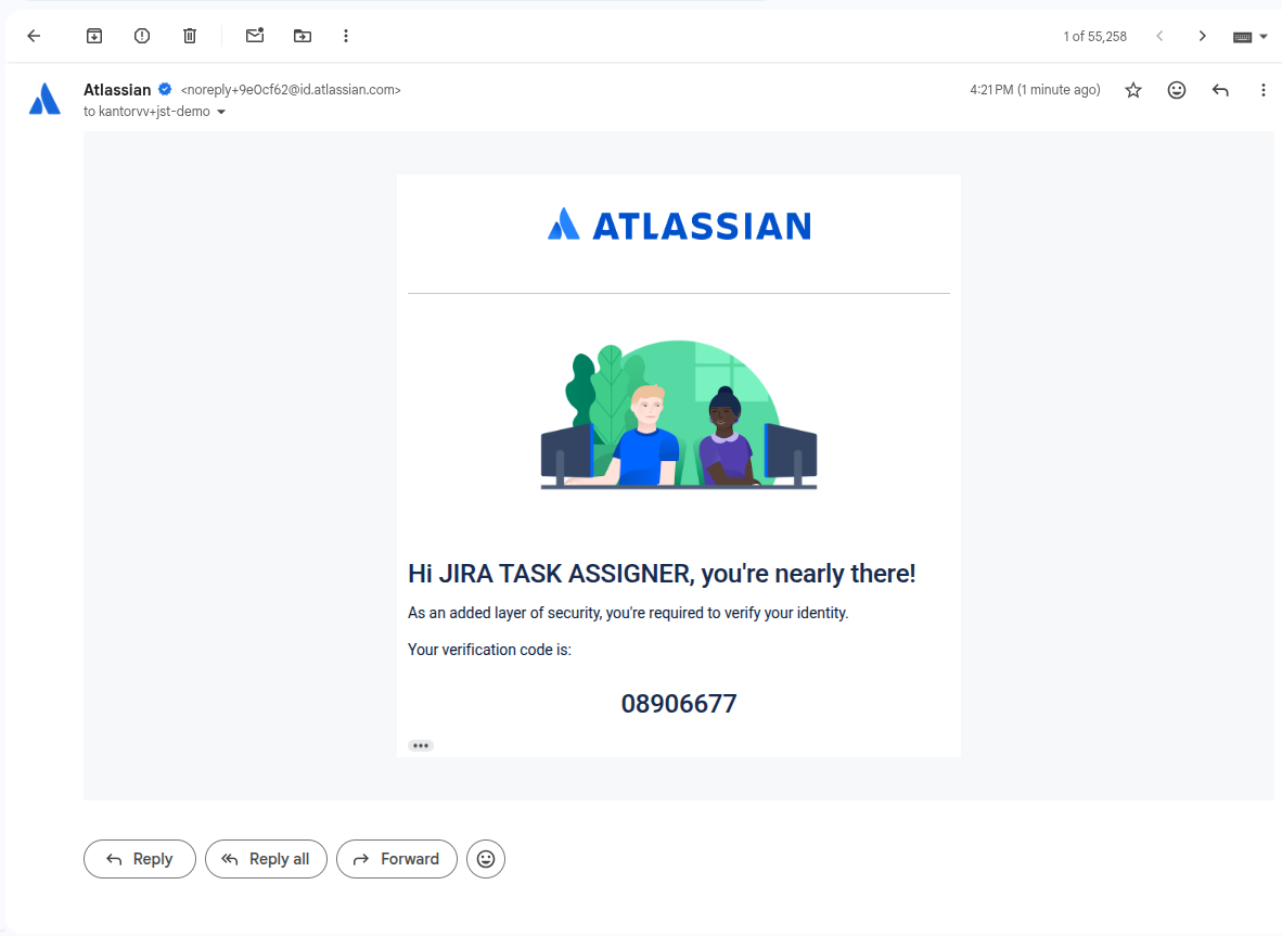 The verification email for API token access